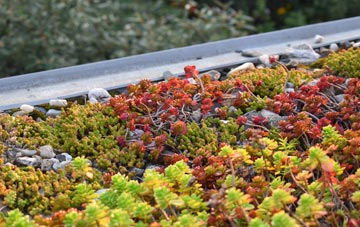 the cost of Themelthorpe green roof installation