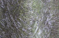 Themelthorpe fibreglass roof work